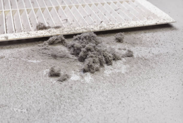 Best Ventilation Cleaning Services  in New Kingman Butler, AZ